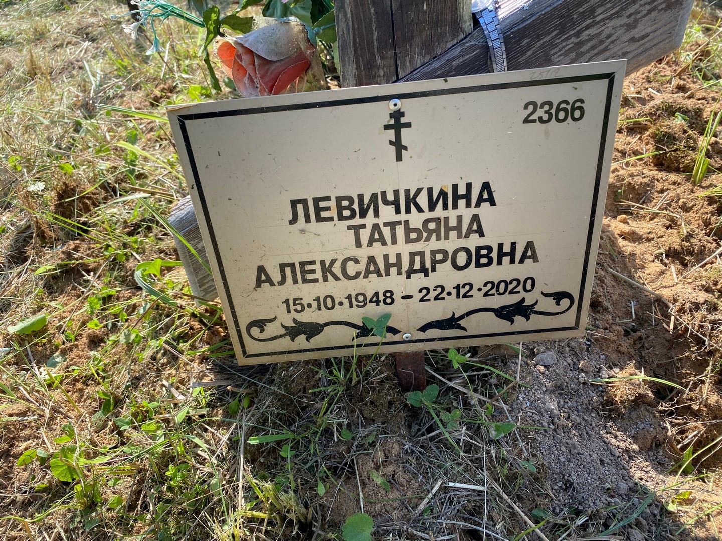 Левичкина