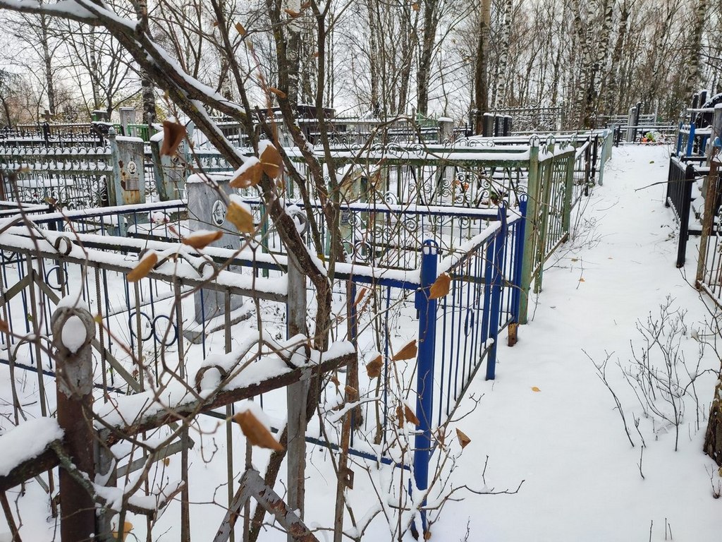 Ласаева Мария Аркадьевна