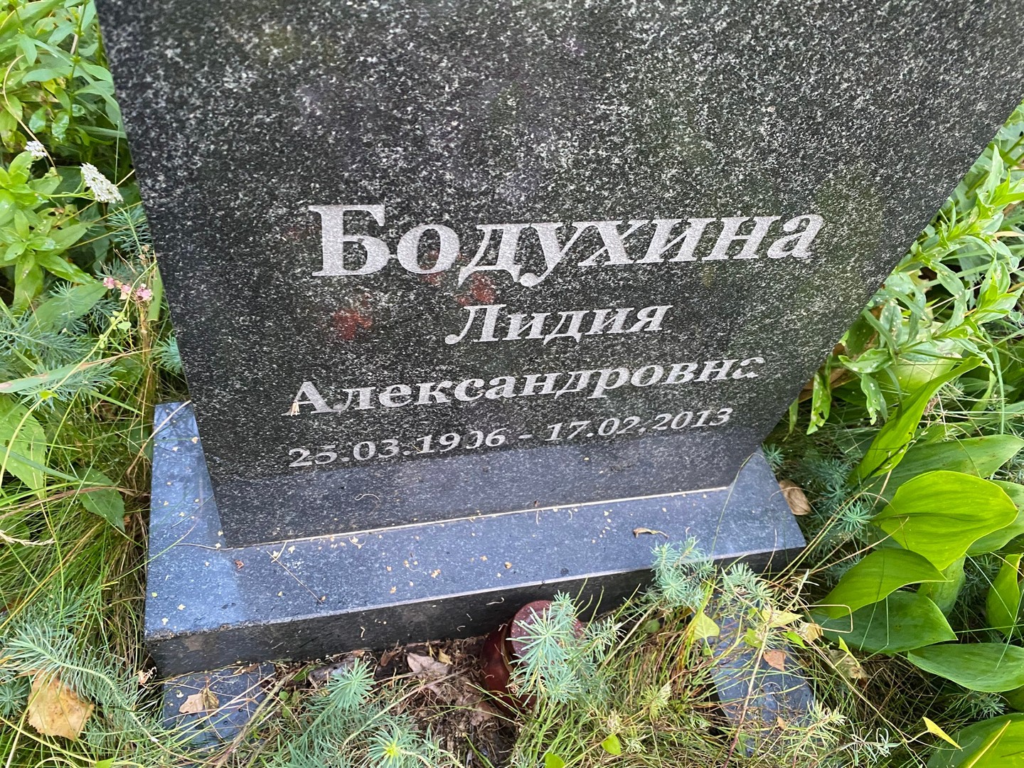 Бодухина
