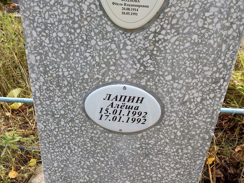 Алёша Лапин