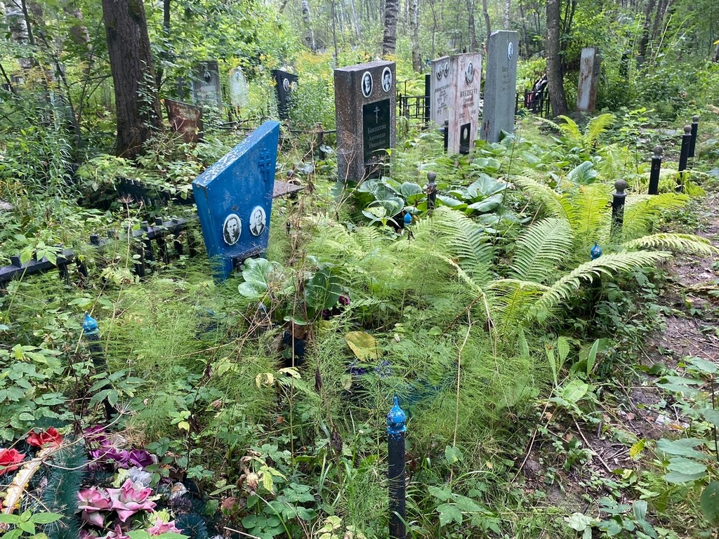 Борисова Анна Петровна