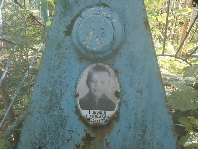 Никулин