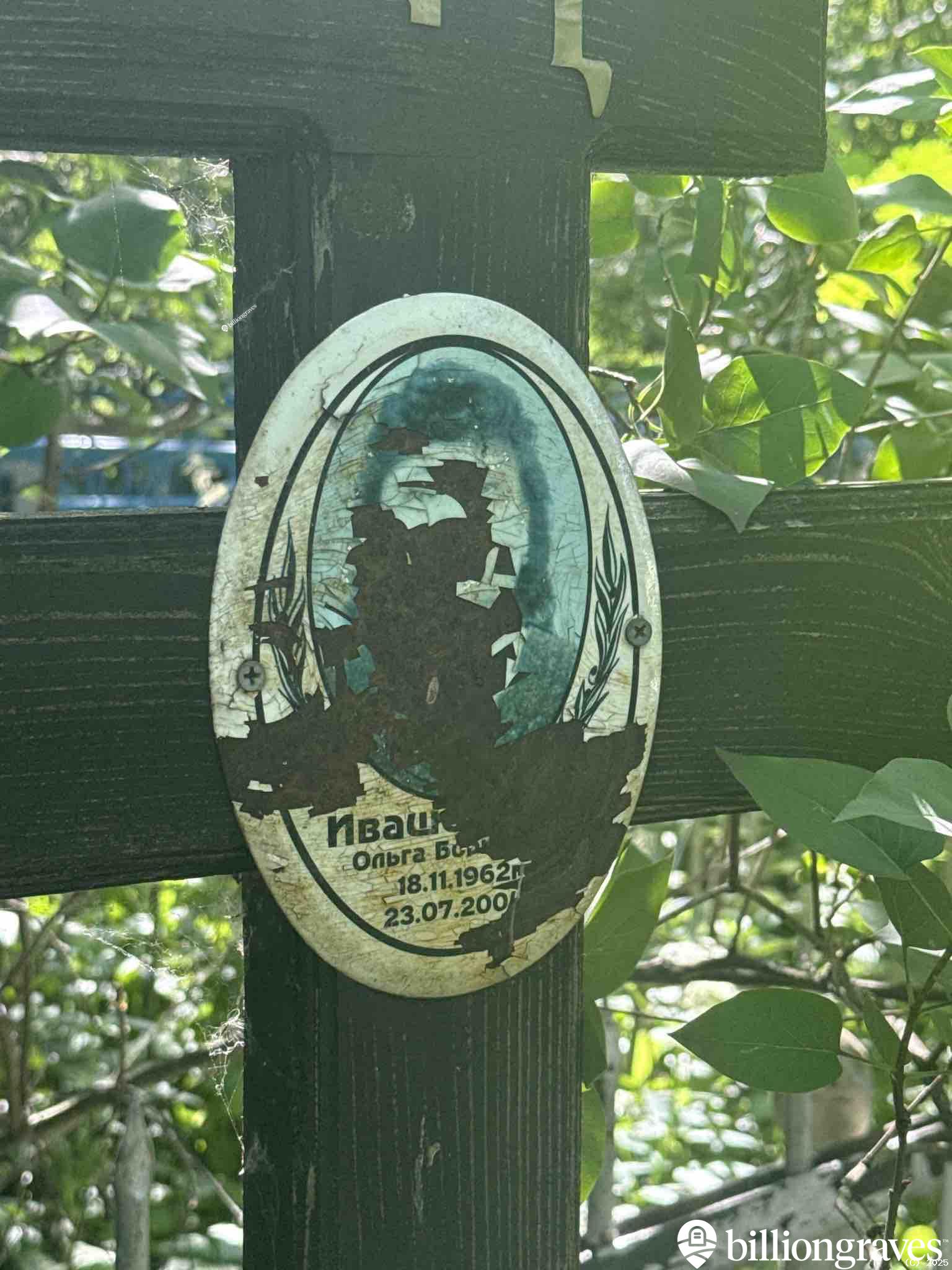 Иваш... Ольга Борисовна