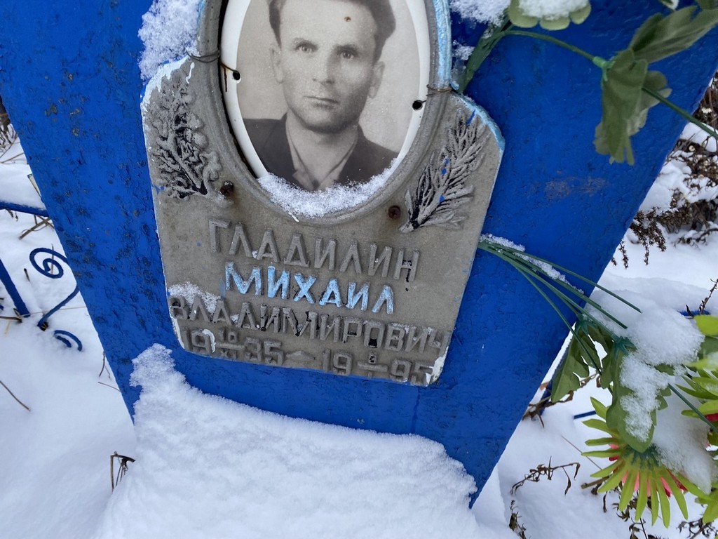 Гладилин Михаил Владимирович
