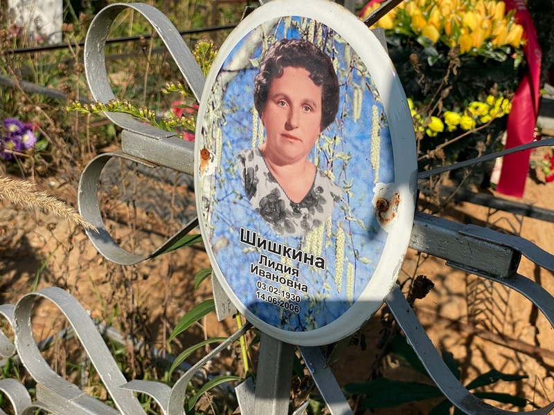 Шишкина