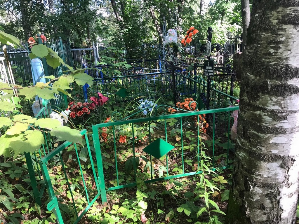 Кокурина Мария Алексеевна