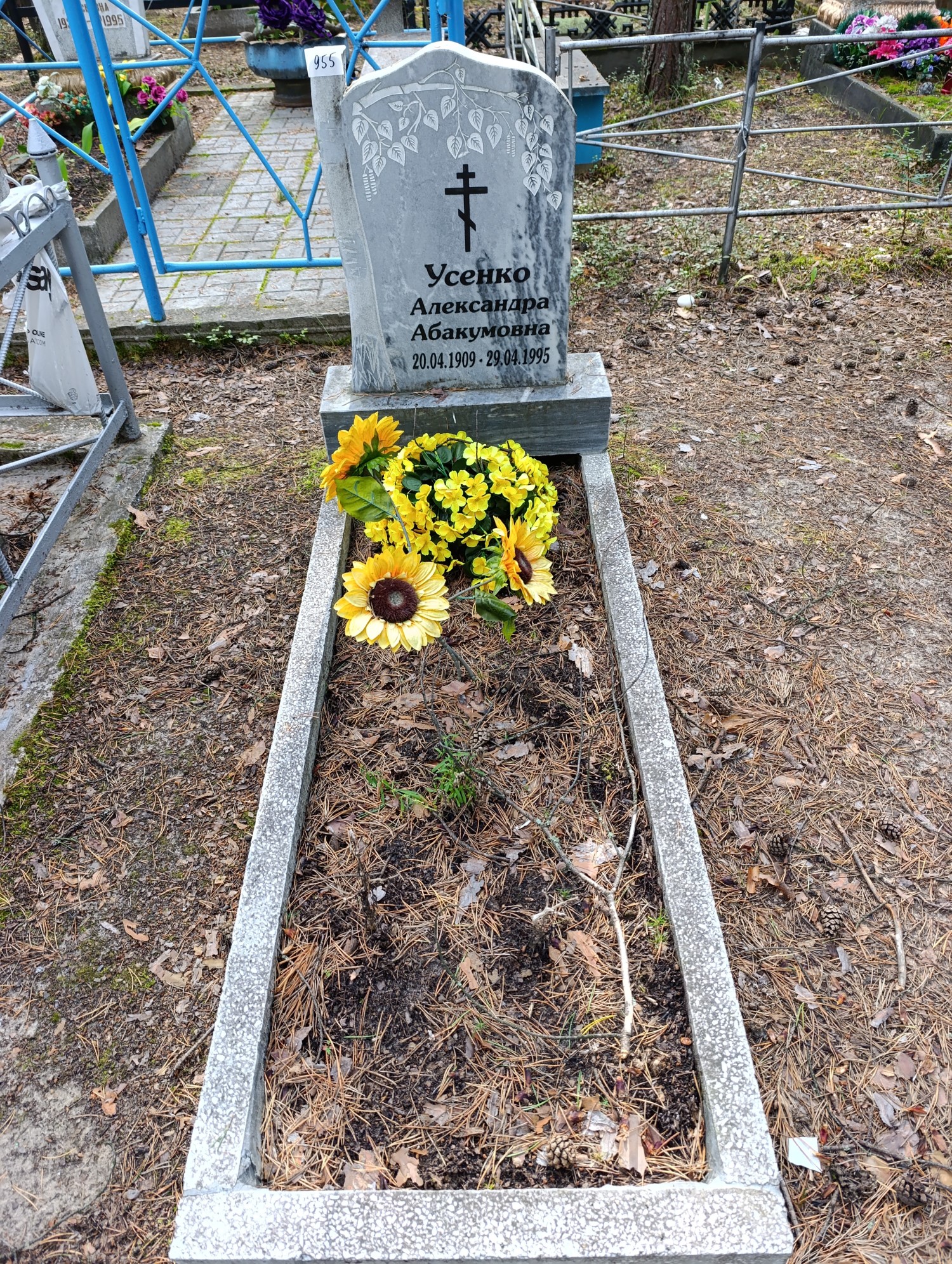 Усенко Александр Абакумовна