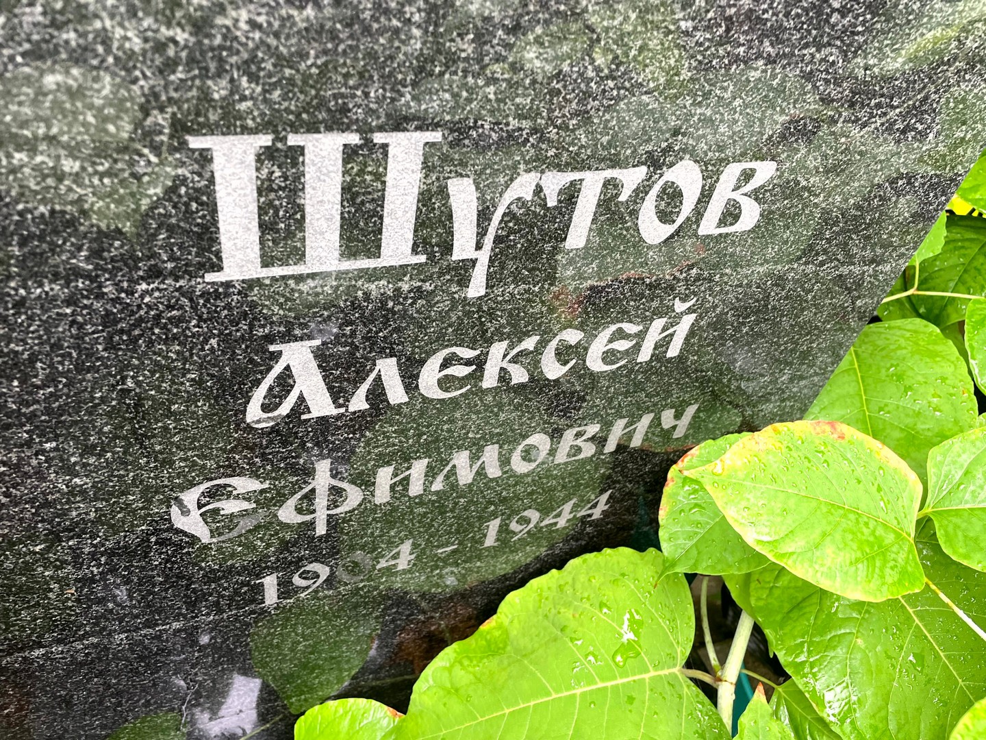 Шутов