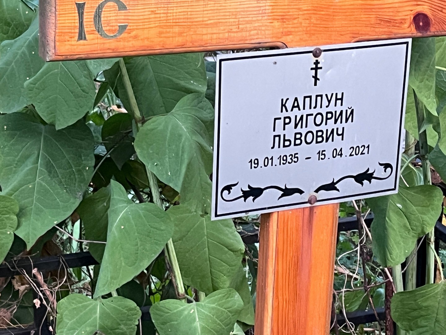Каплун