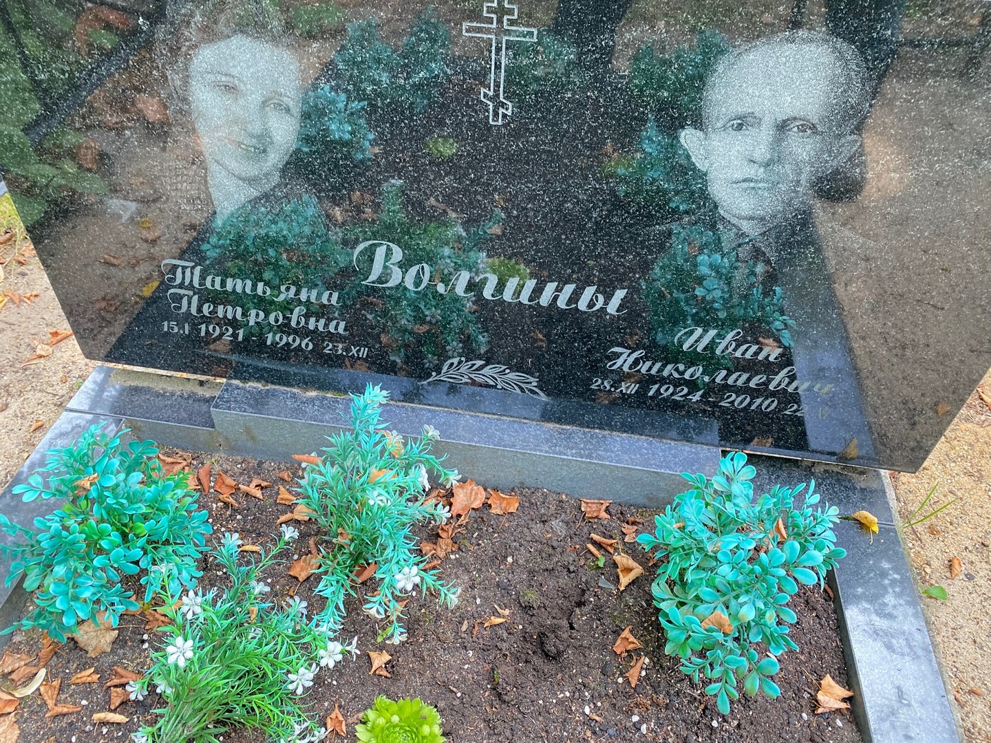 Волгина