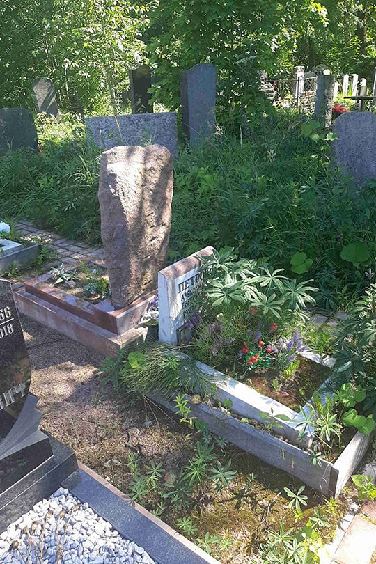 Петров Александр Евгеньевич
