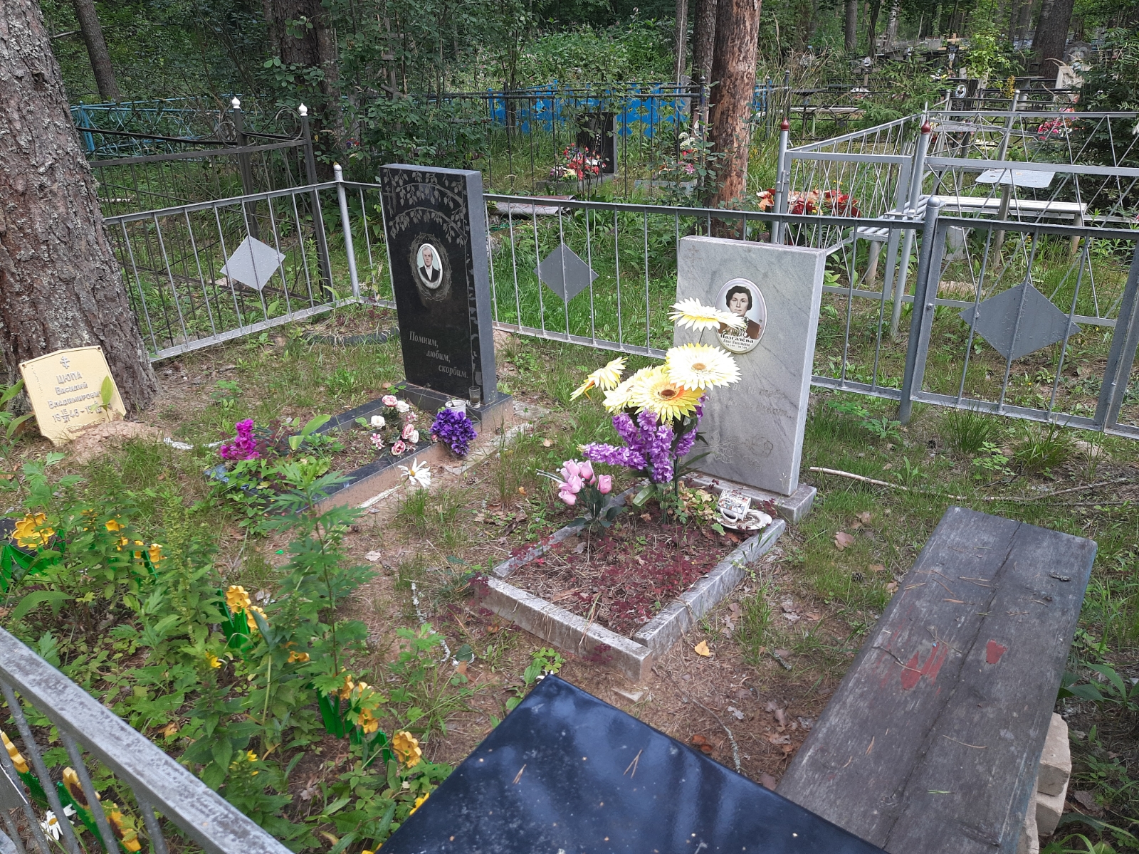 Цюпа Василий Владимирович
