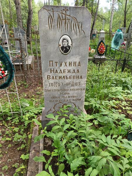 Птухина Надежда Васильевна