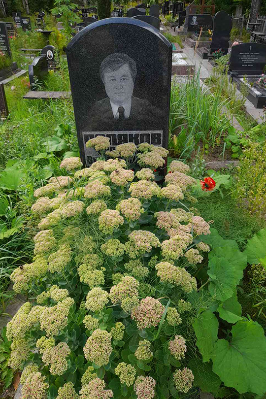 Поляков Владимир Всеволодович