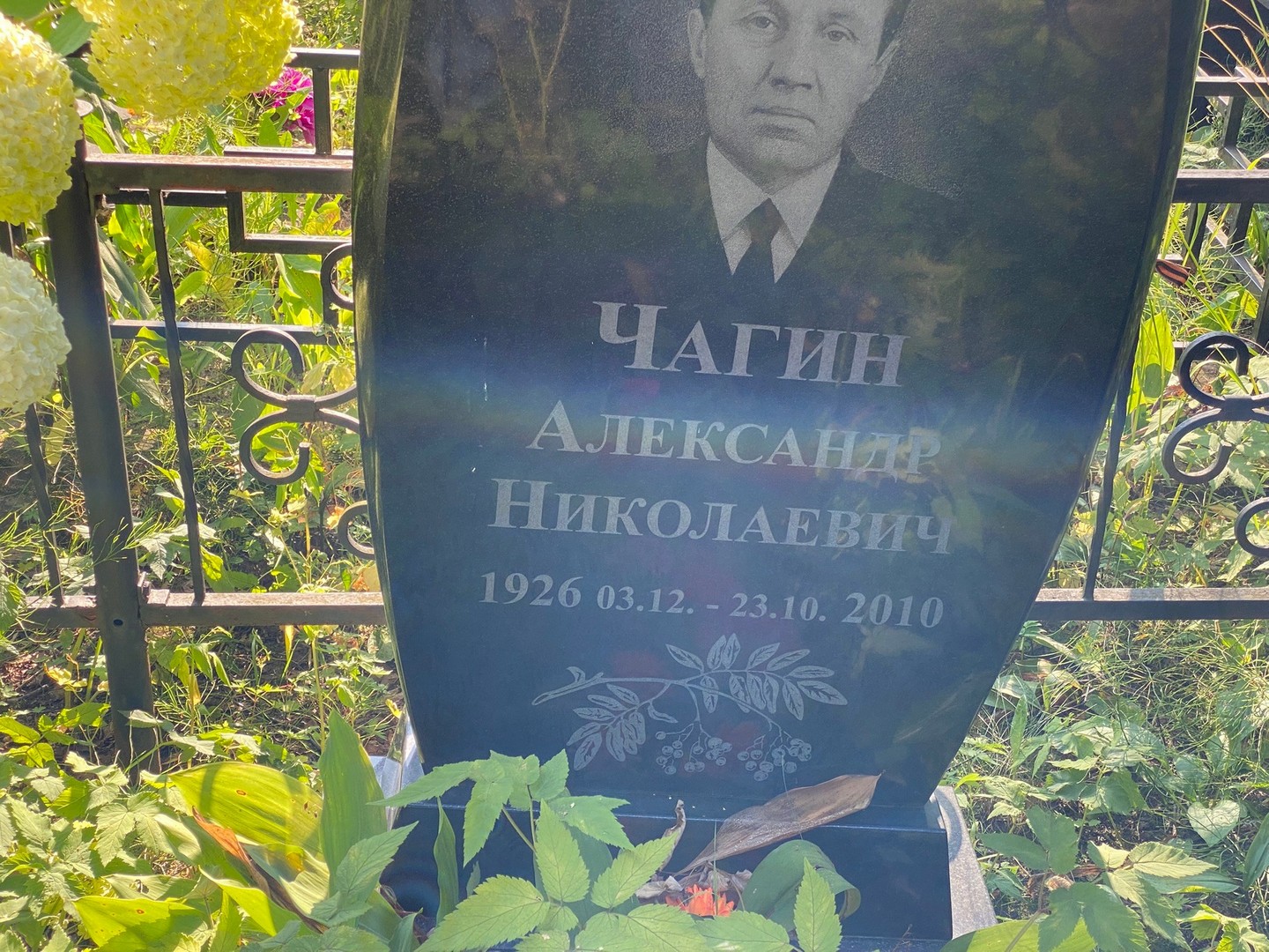 Чагин