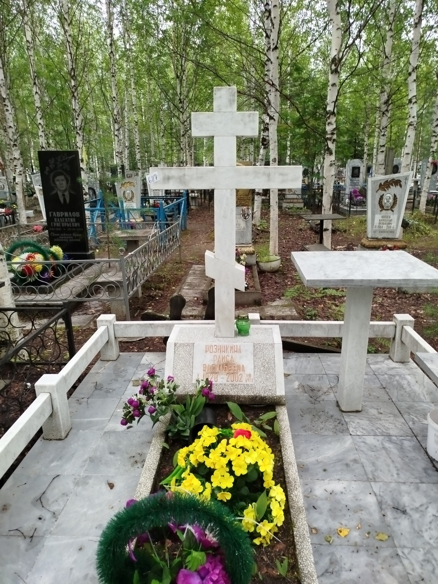 Розинкина Раиса Васильевна