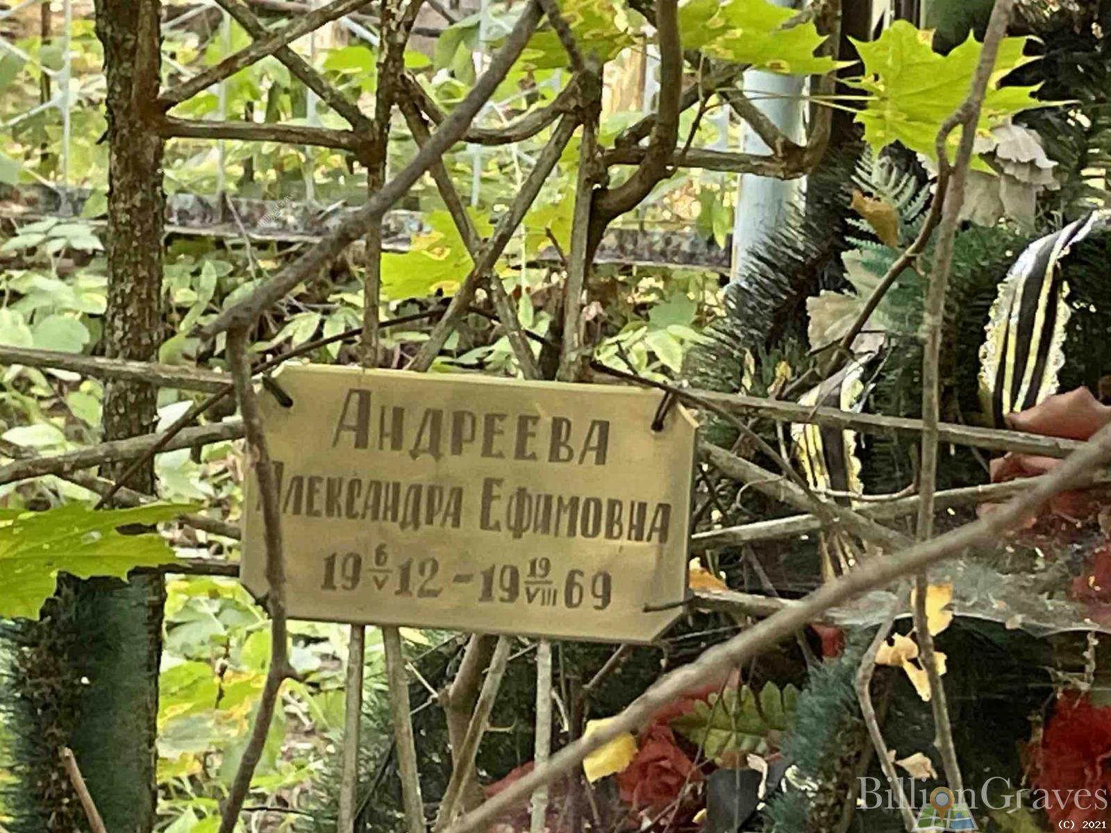 Андреева Александра Ефимовна