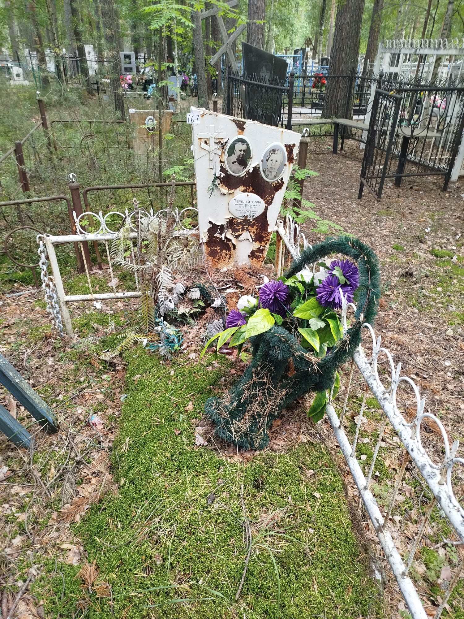 Перелей Вода Полина Васильевна