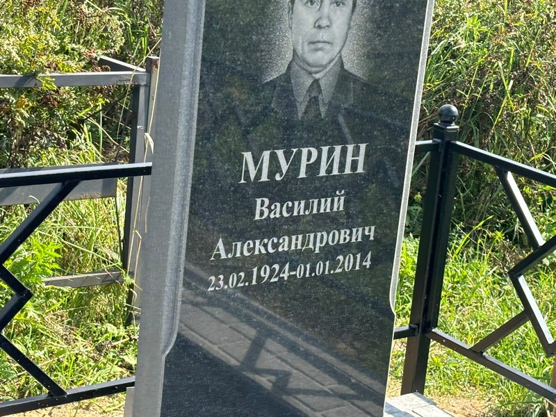 Мурин
