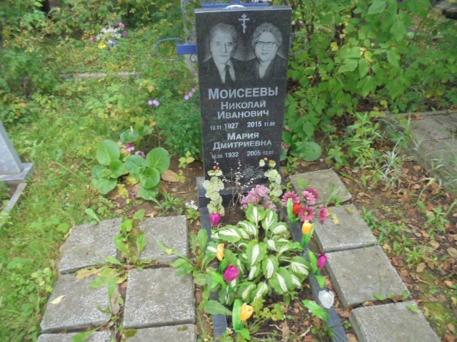 Моисеев Николай Иванович