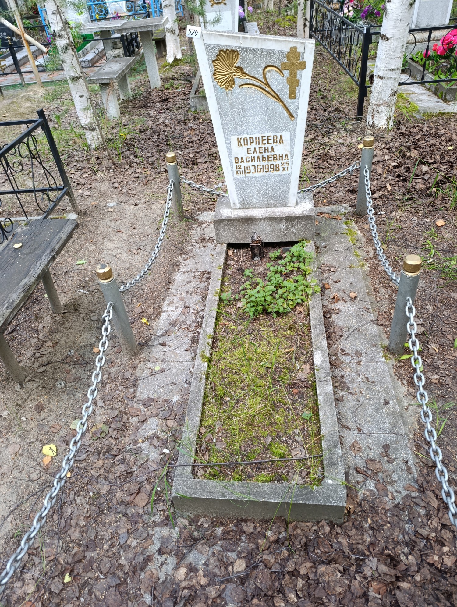 Корнеева Елена Васильевна