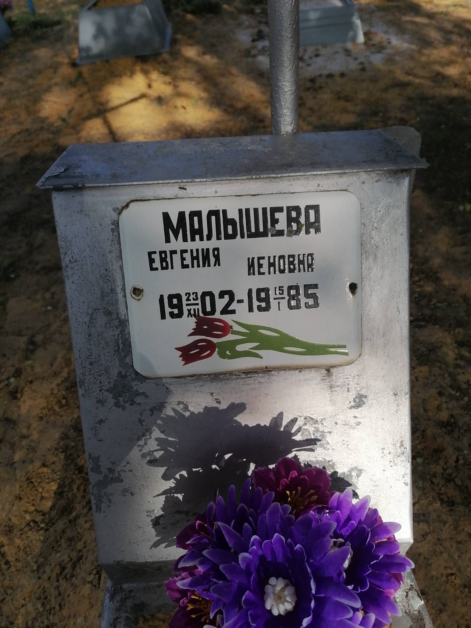 Малышева Евгения Иеновна
