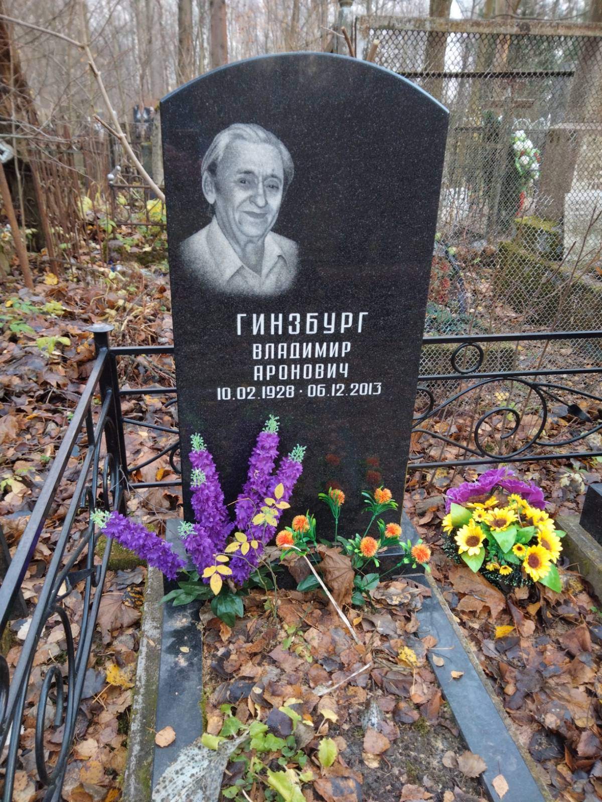 Гинзбург Владимир Аронович