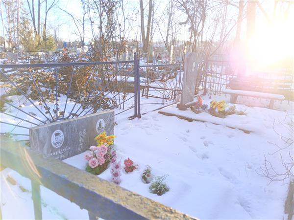 Старцев Владимир Николаевич
