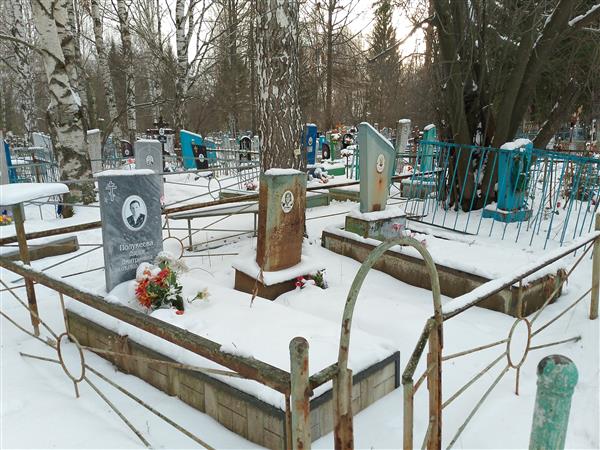 Полукеева Дарья Дмитриевна