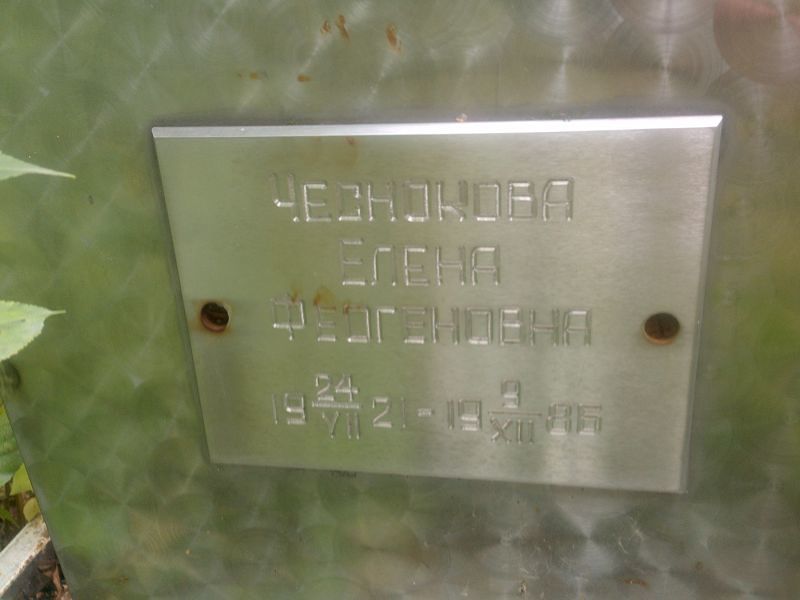 Чеснокова