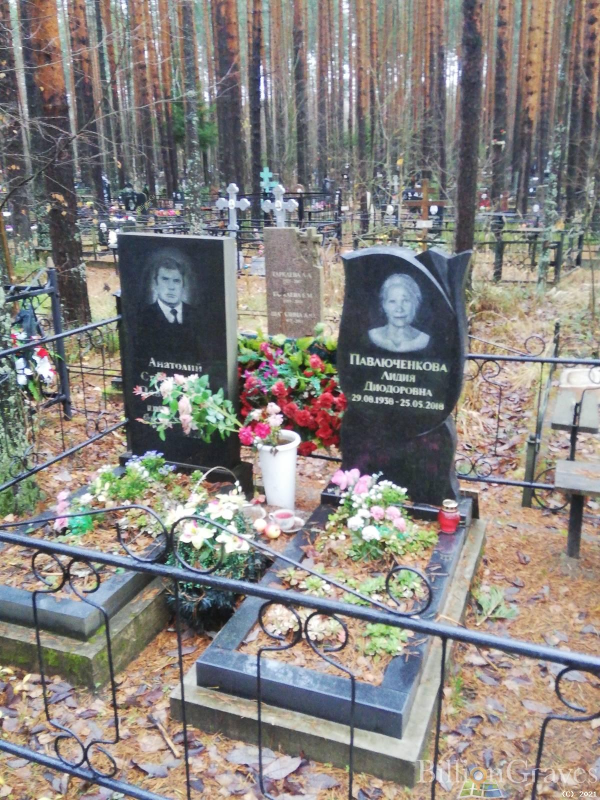 Павлюченков Анатолий Стефанович