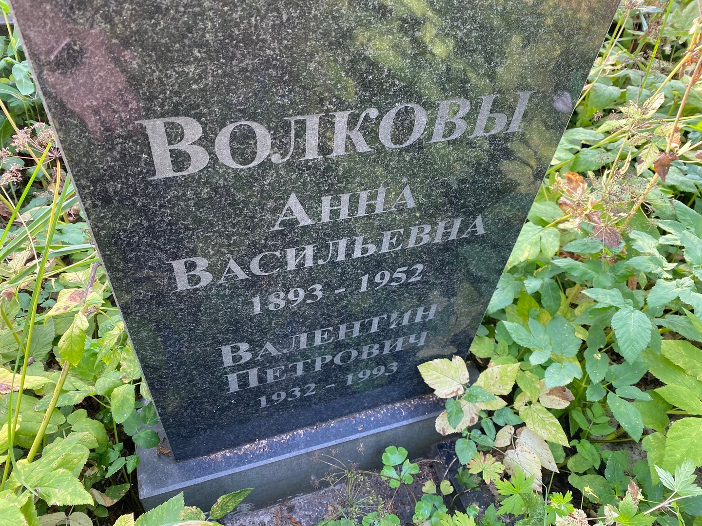 Волкова