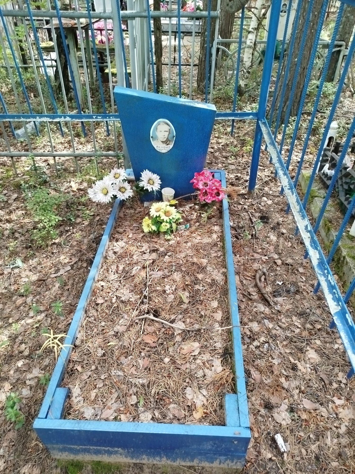 Ленивцев Владимир Михайлович