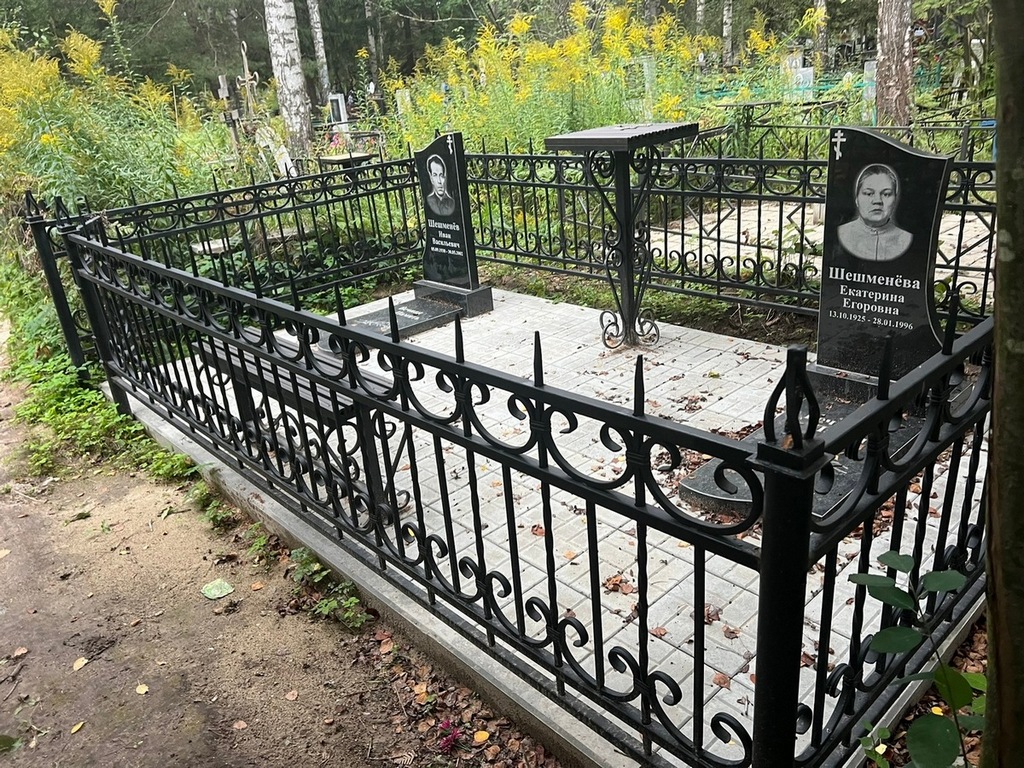 Шешменев Иван Васильевич