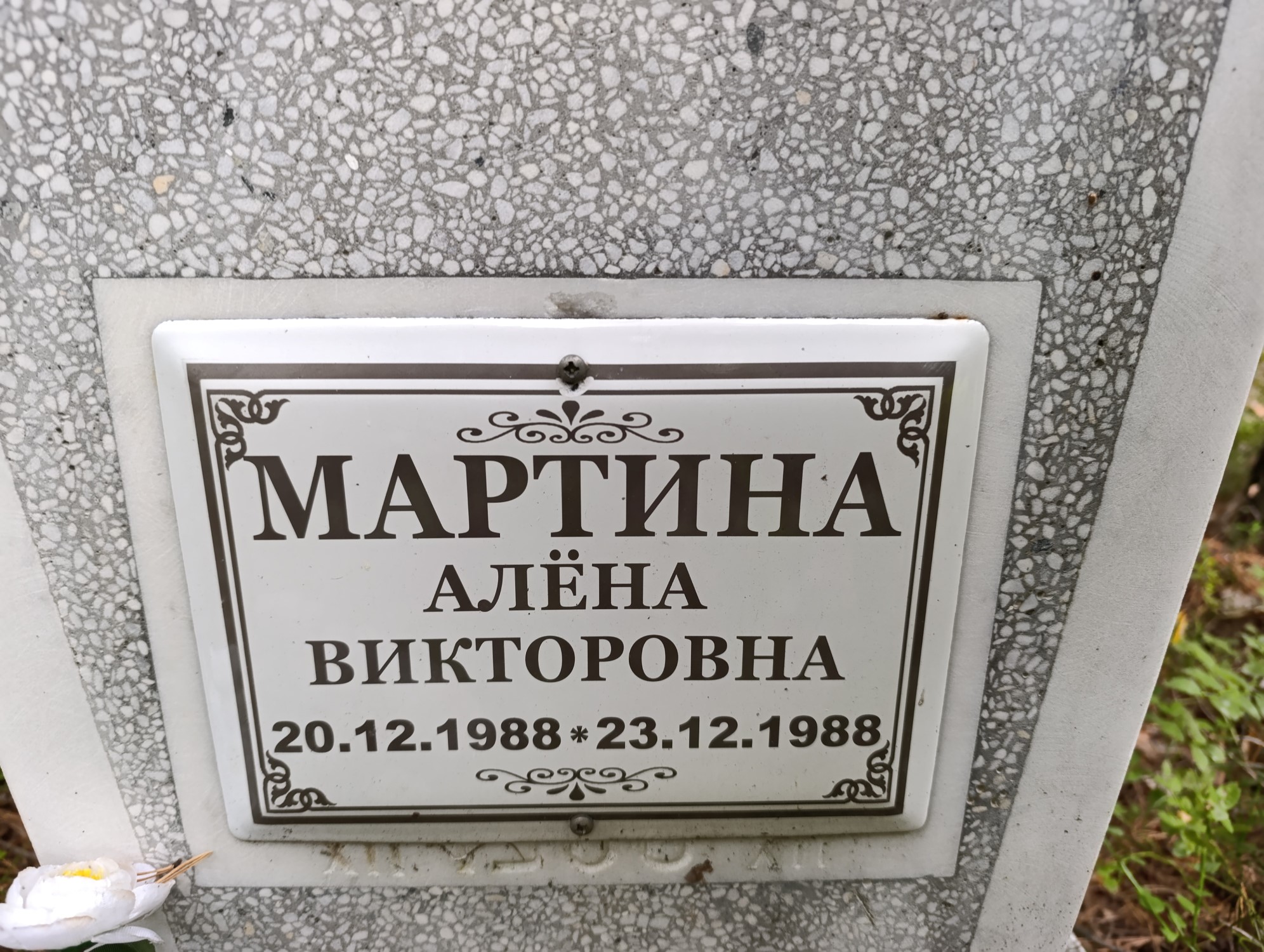 Мартина Алена Викторовна