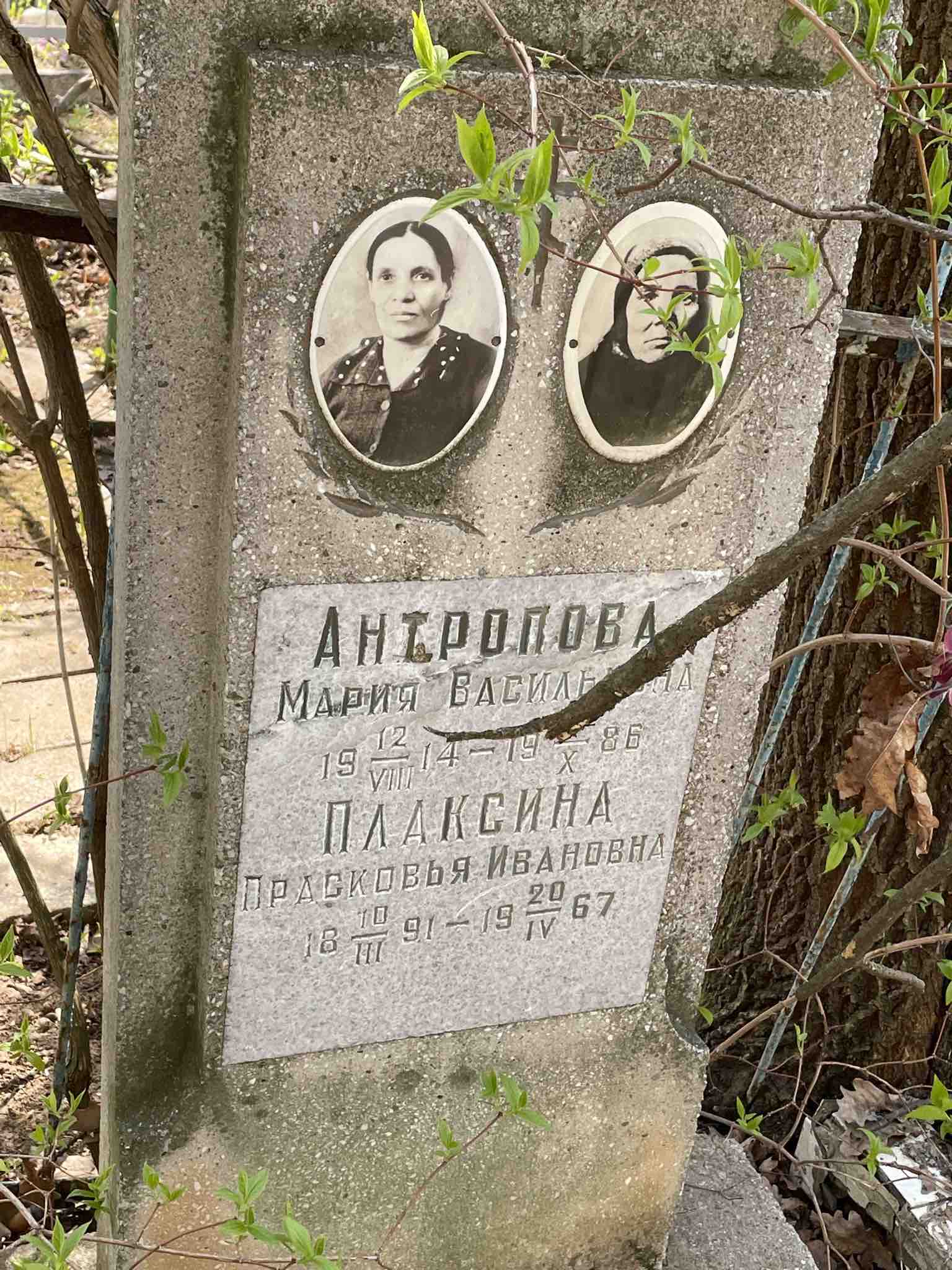Плаксина Прасковья Ивановна