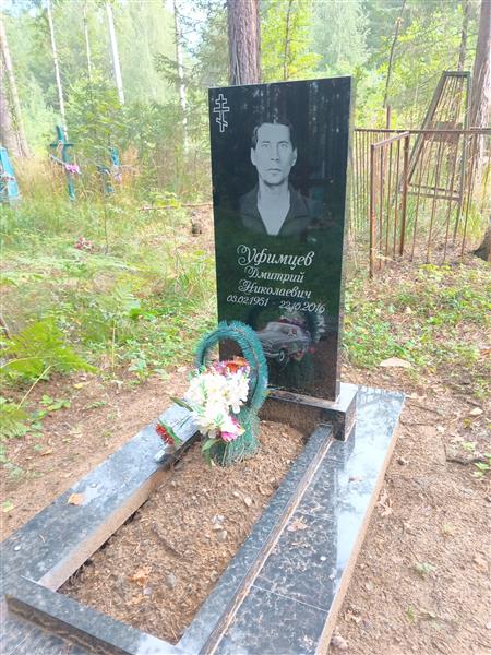 Уфимцев Дмитрий Николаевич