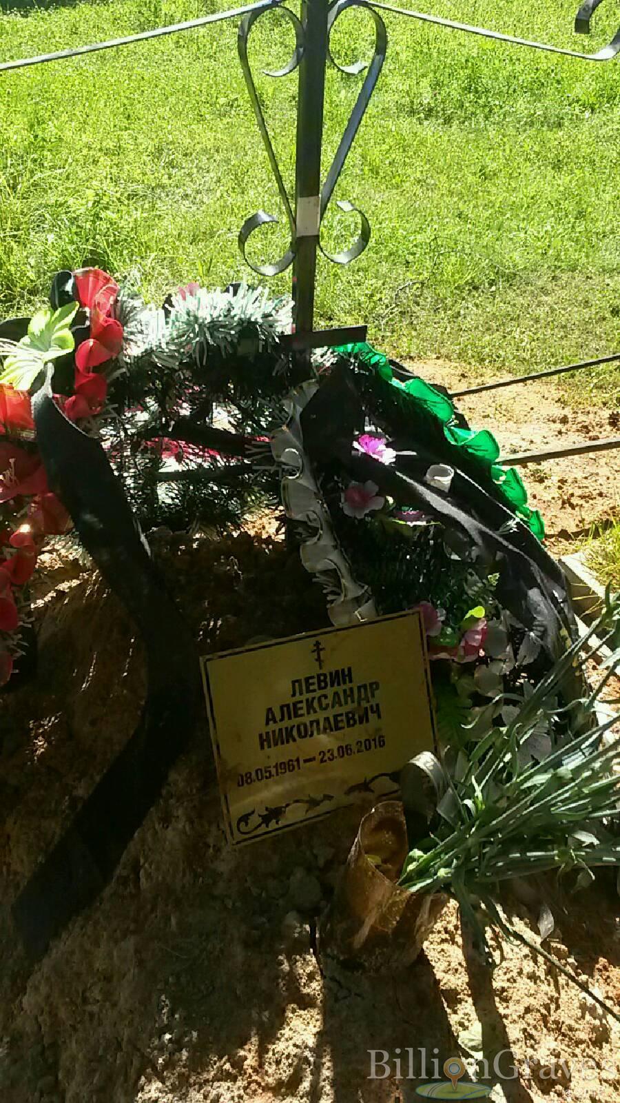 Левин Александр Николаевич