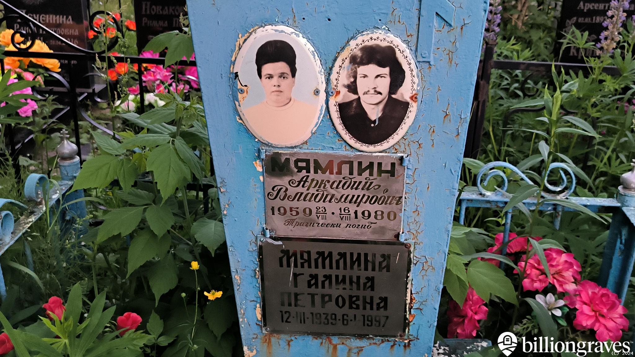 Мямлин Аркадий Владимирович