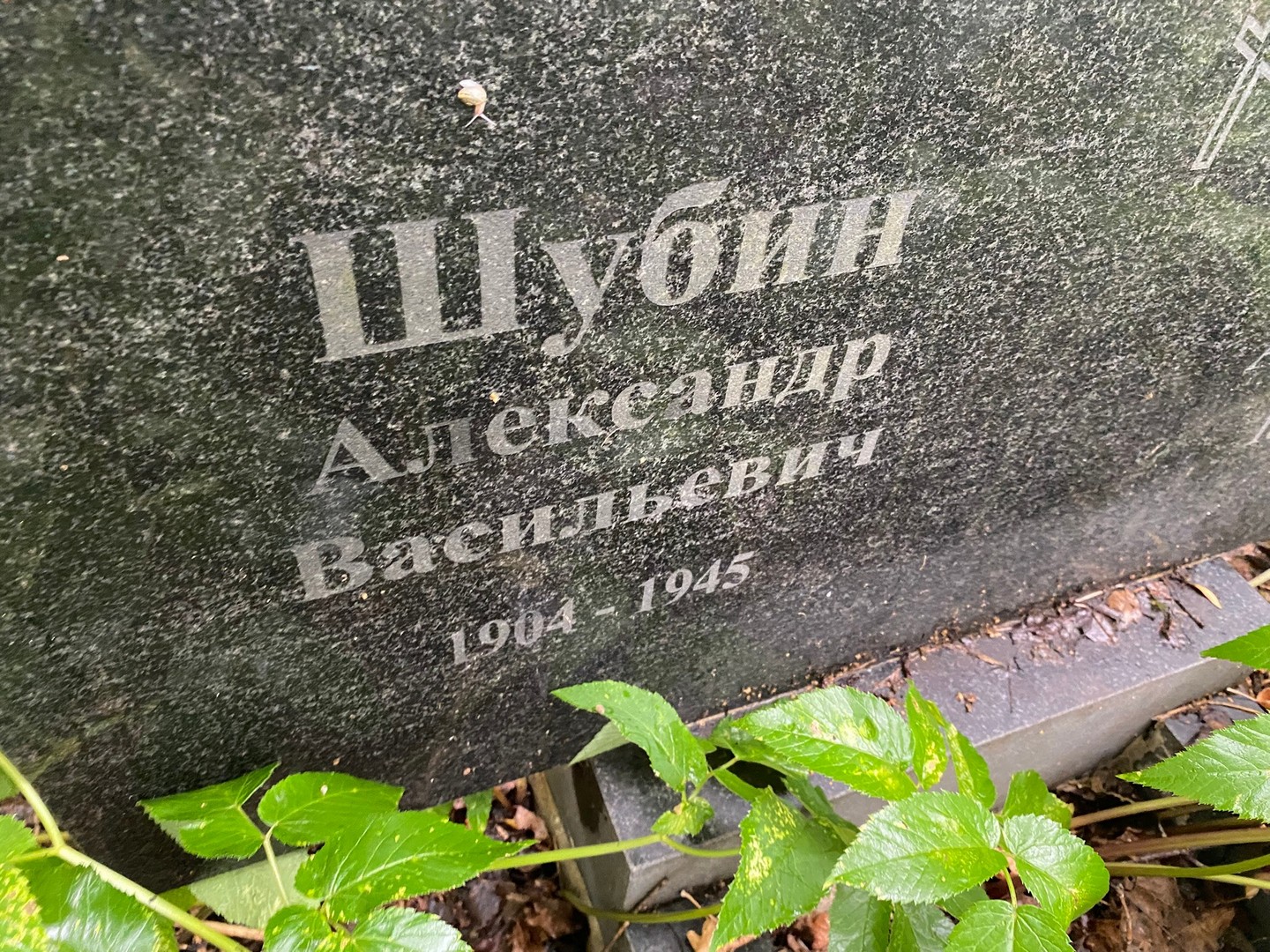 Шубин