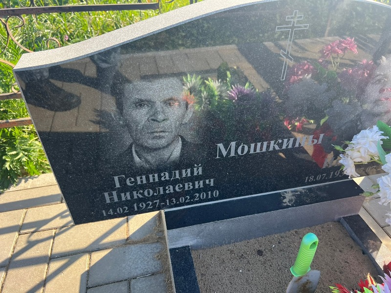 Мошкин