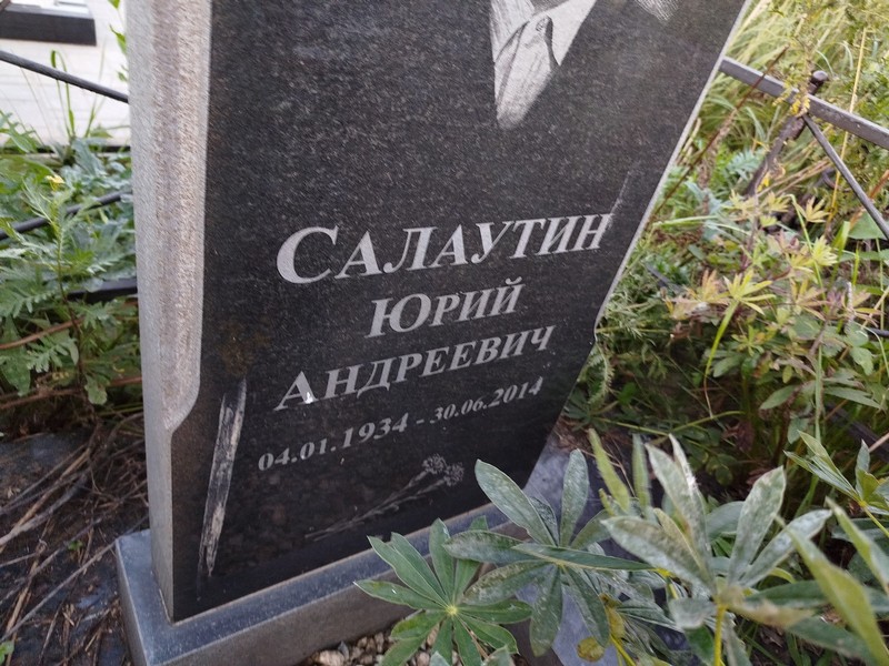 Салаутин