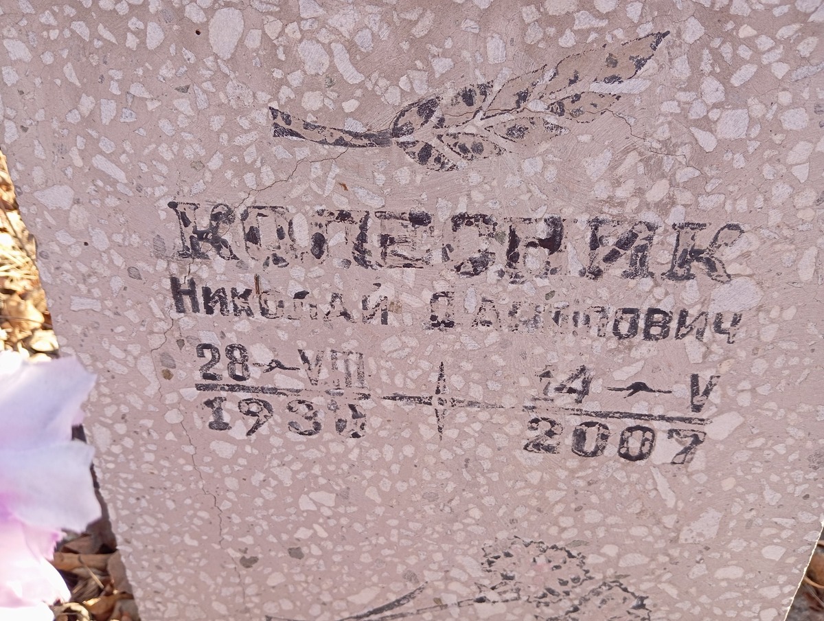 Колесник Николай Данилович