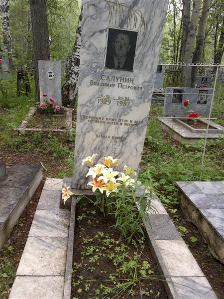 Салунин Владимир Петрович
