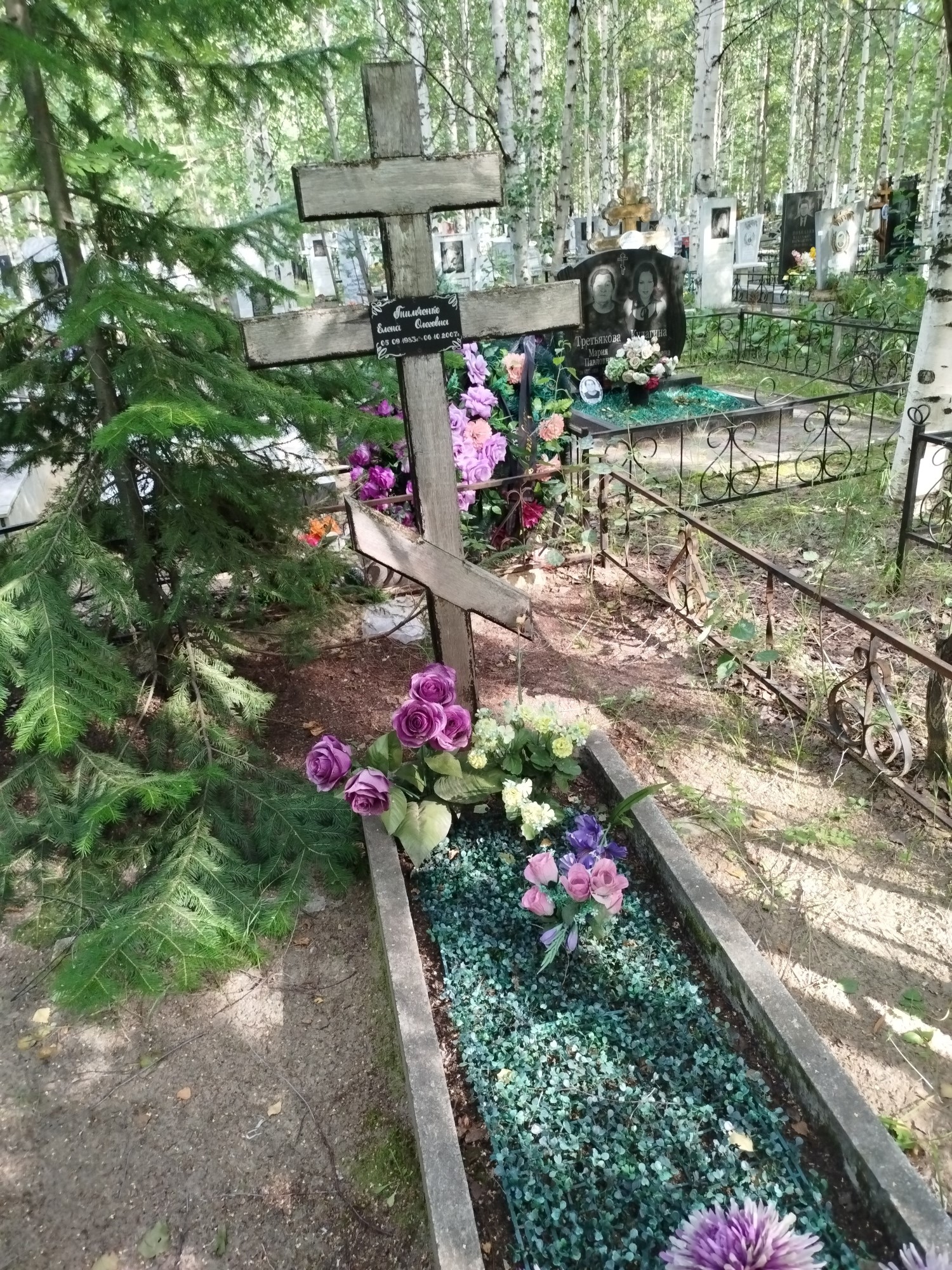 Тимченко Елена Олеговна