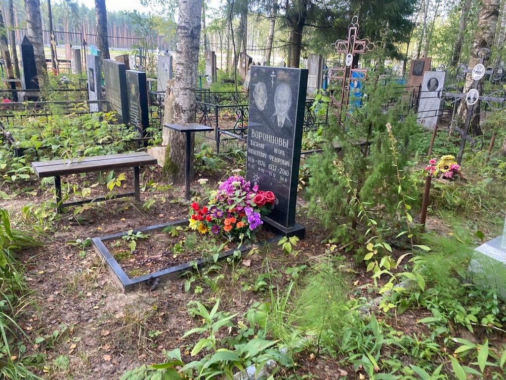 Воронцов Игорь Федорович