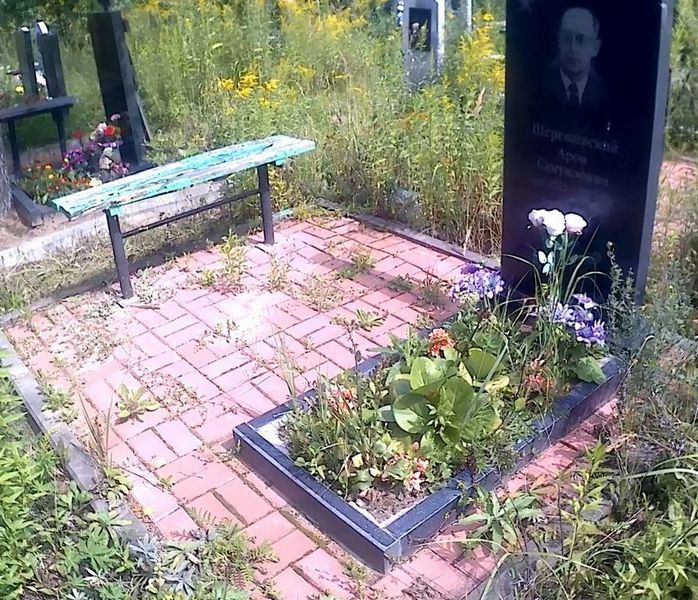 Шерешевский Арон Самуилович