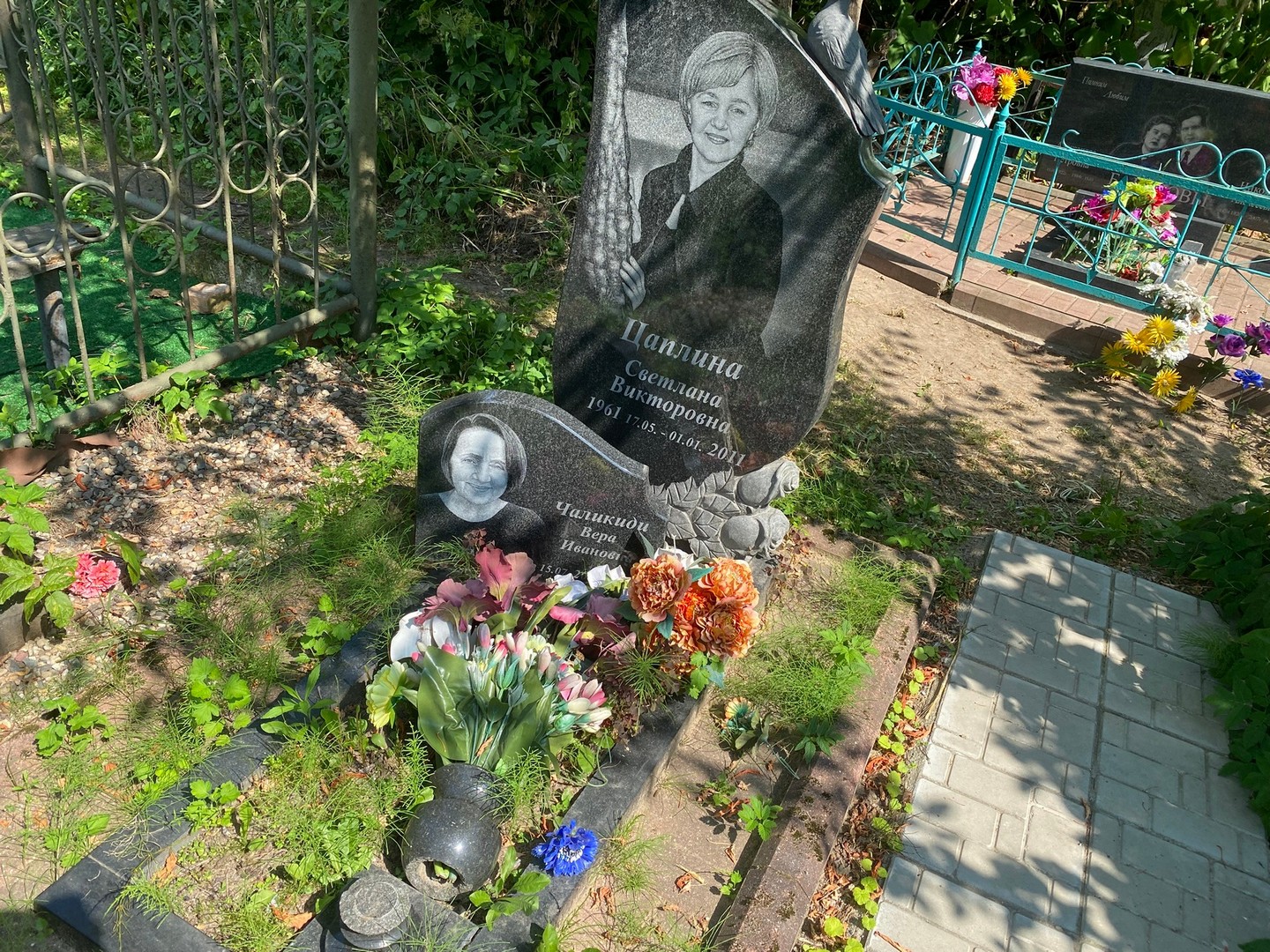 Цаплина