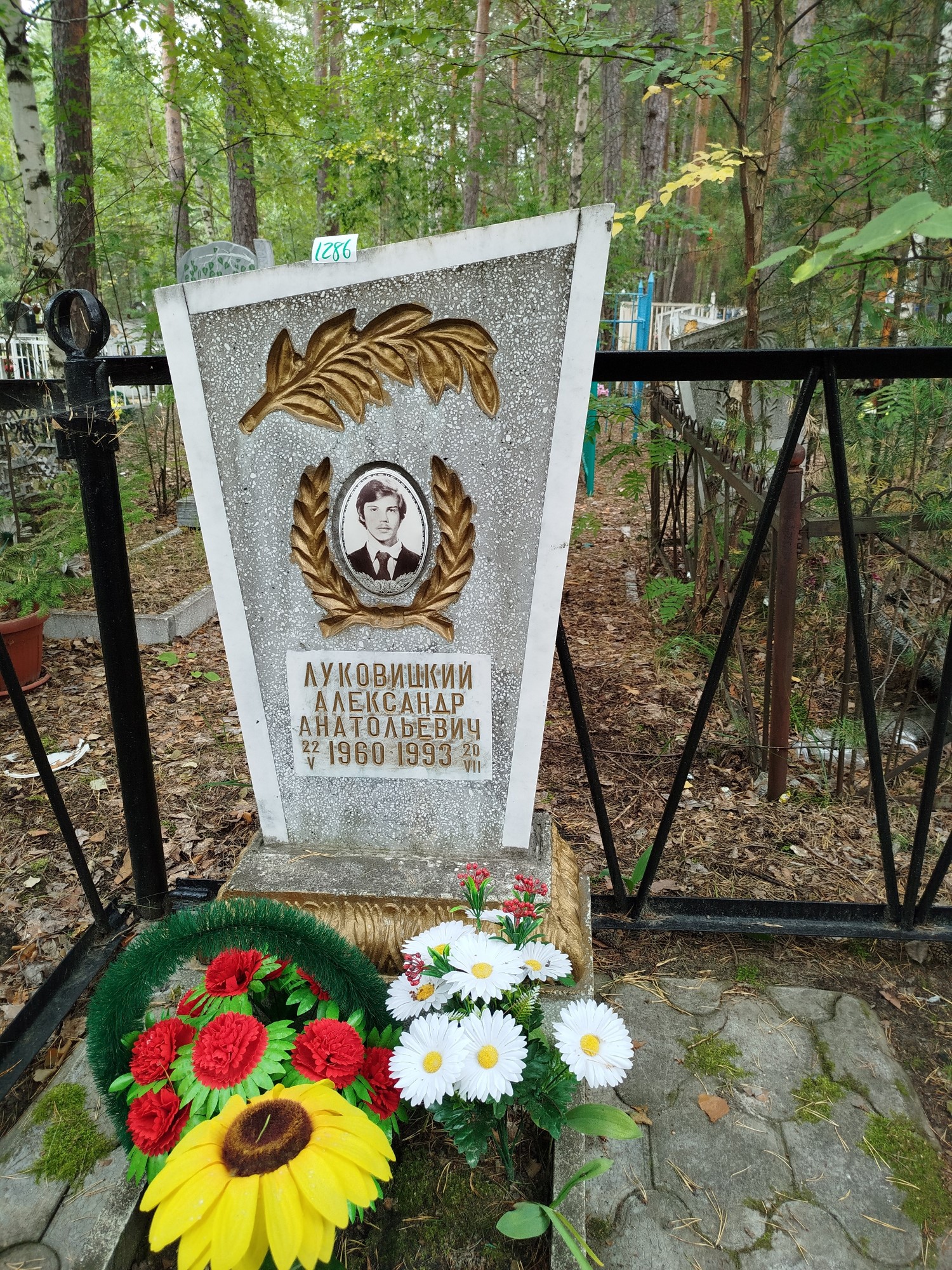 Луковицкий Александр Анатольевич