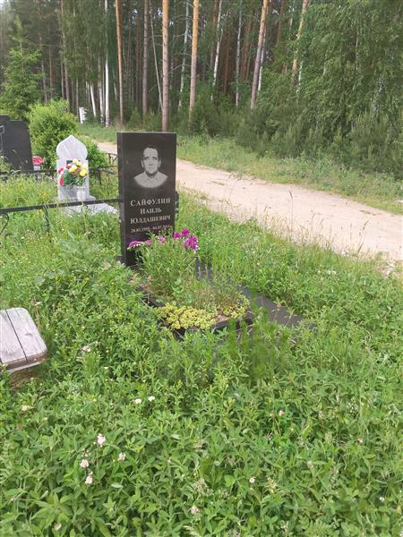 Сайфулин Наиль Юлдашевич